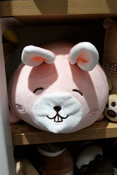 Can't help but be reminded of Kang Daniel seeing this cushion